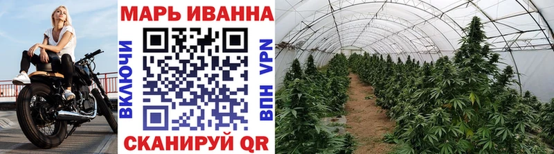 Каннабис White Widow  Зверево 